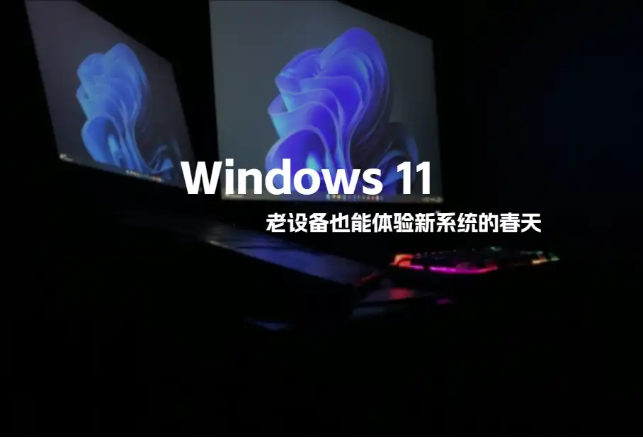 Win10老设备焕发Win11